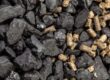 Węgiel czy pellet – co wybrać